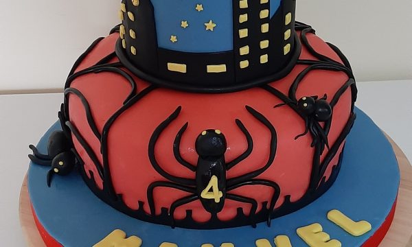 Spiderman Cake 🕸🕸🕸🕸🕸🕸🕸🕸🕸🕸🕸🕸🕸🕸🕸