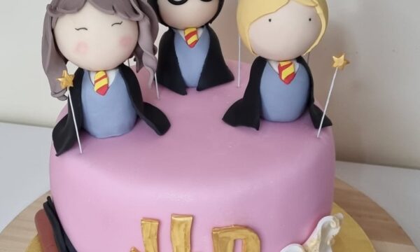 Harry Potter Cake 3.0
