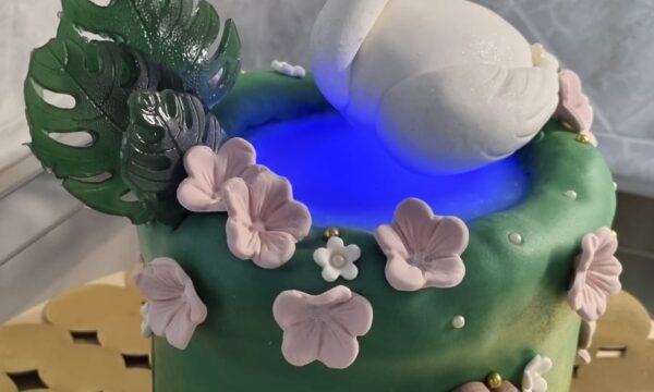 Cake Il Lago del Cigno 💖💖💖💖💖