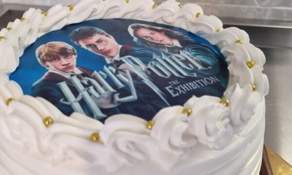 Harry Potter Cake 4.0